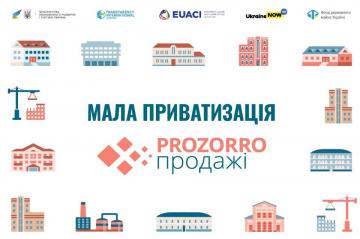 Реформа держпродажів: мала приватизація, оренда та інституціалізація