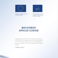 Висновок AMICUS CURIAE «Про Конституційний Суд України» щодо відповідності Конституції України статті 368-2 Кримінального кодексу України